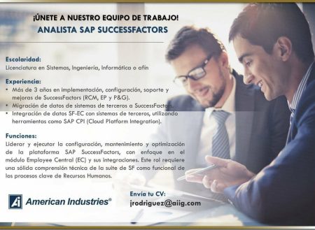 ANALISTA SAP SUCCESS FACTORS